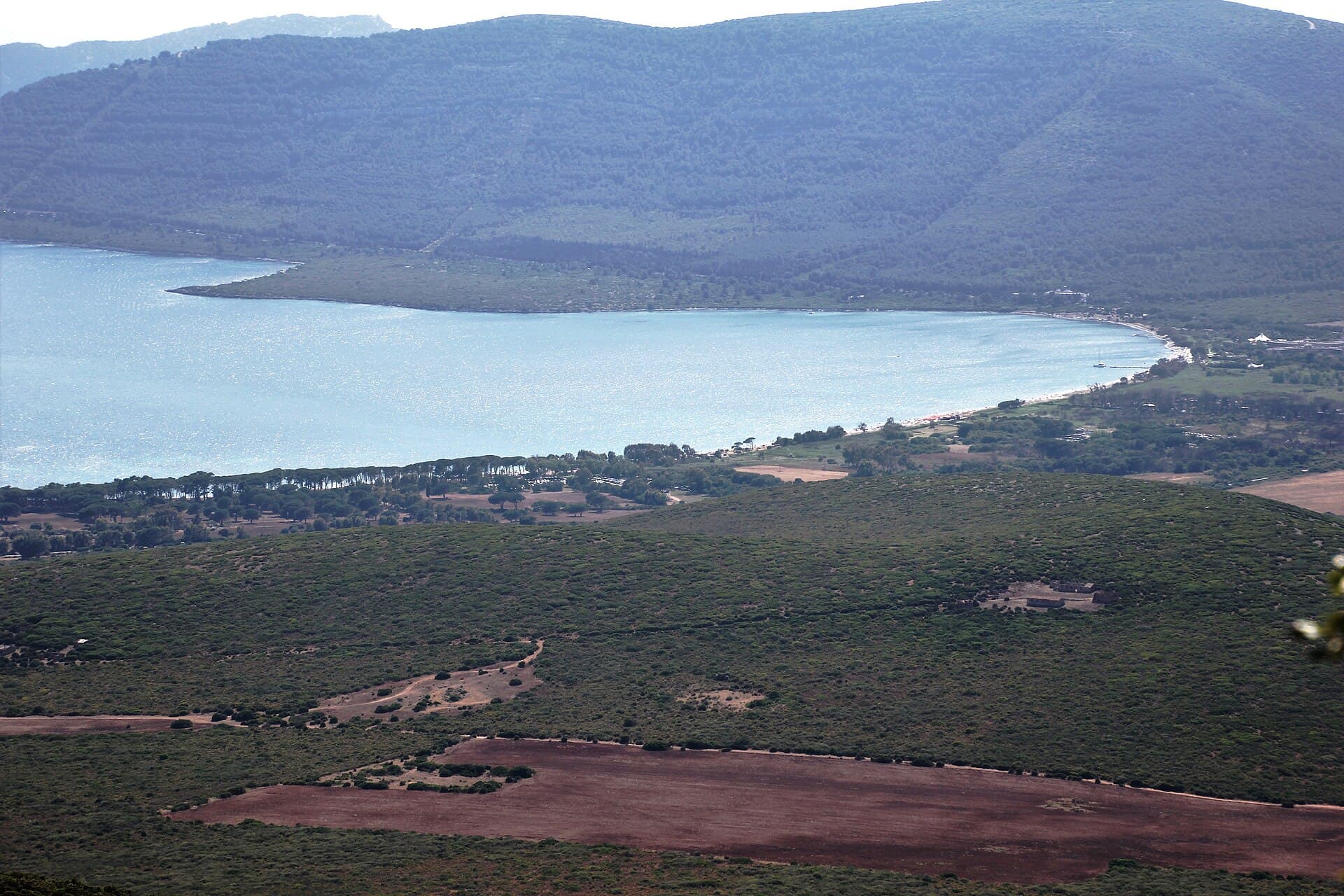 The wide turquoise sweep of Porto Conte bay with the pine-backed Mugoni beach